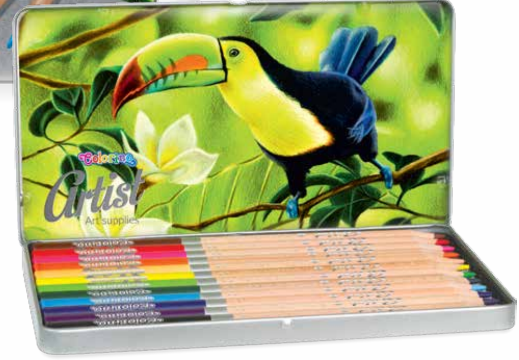 Coloured pincils 12 pcs